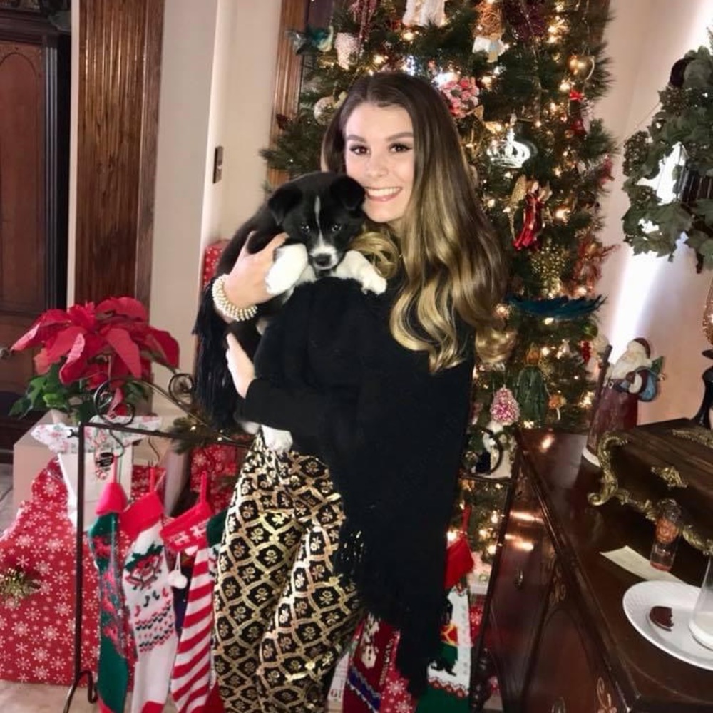 Pixie Pants - image 2